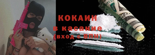 дживик Богородицк