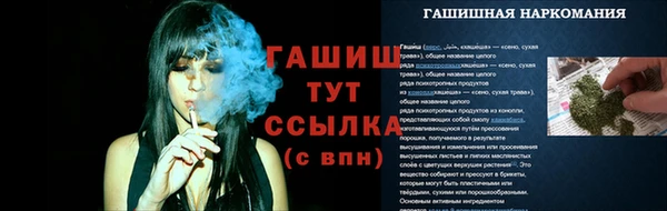 ECSTASY Богородск