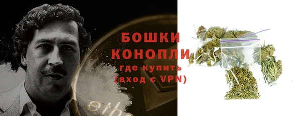молекула духа Белоозёрский