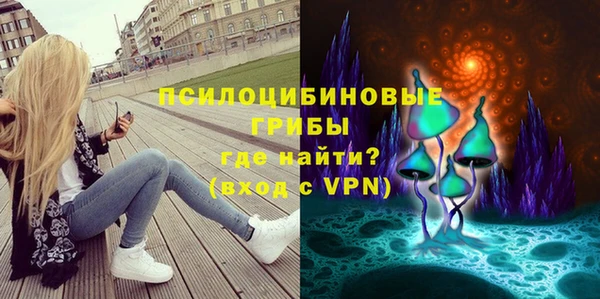 ECSTASY Богородск