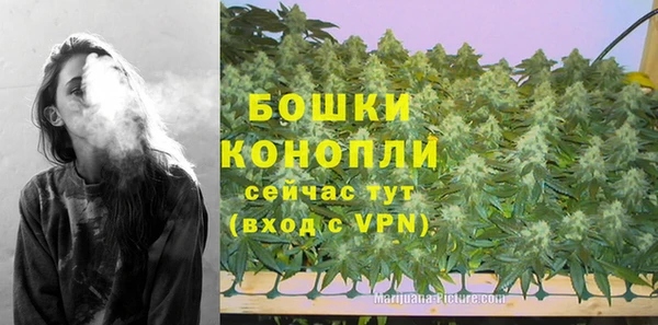 ECSTASY Богородск