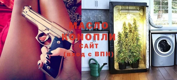 дживик Богородицк