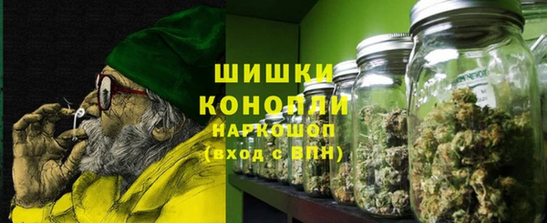 дживик Богородицк