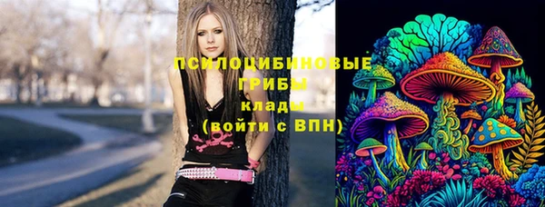 дживик Богородицк