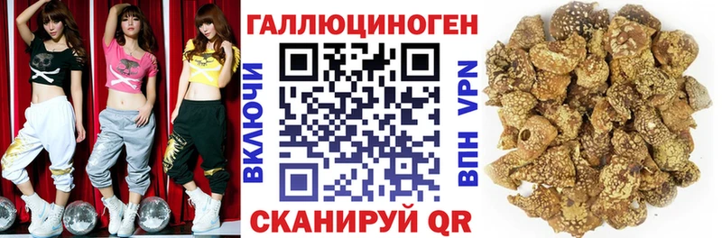 Купить  Гулькевичи  Галлюциногенные грибы мицелий 